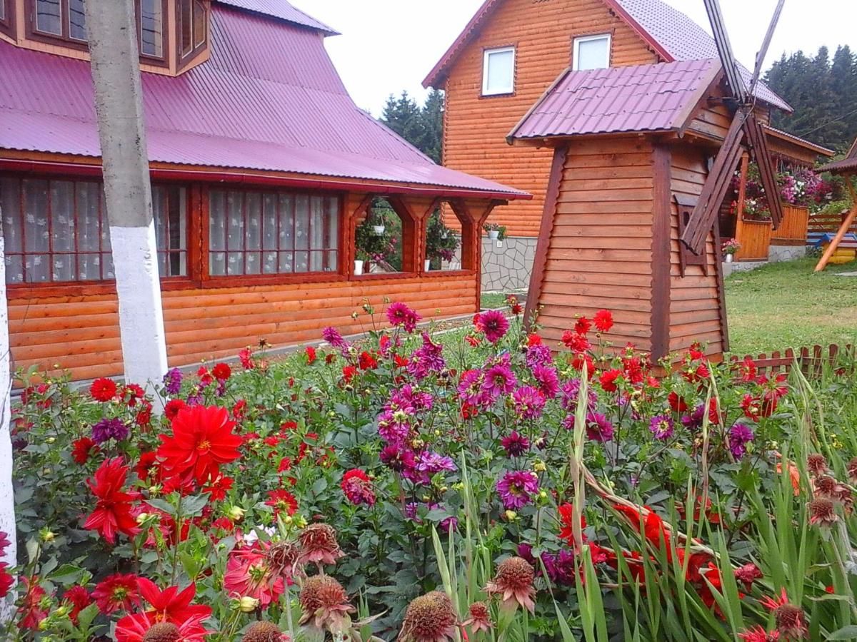 Гостевой дом Romashka Guest House Яблоница-21