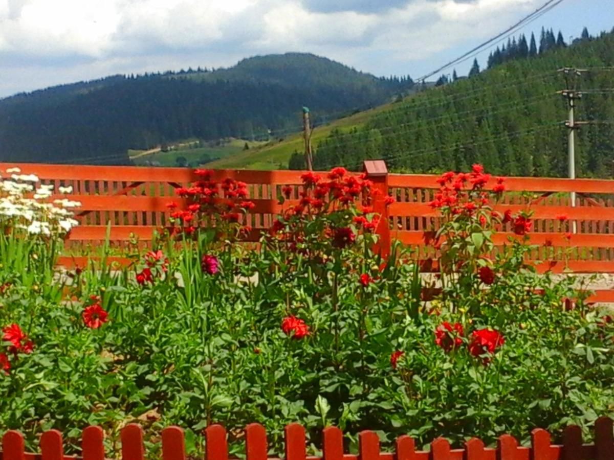 Гостевой дом Romashka Guest House Яблоница-11